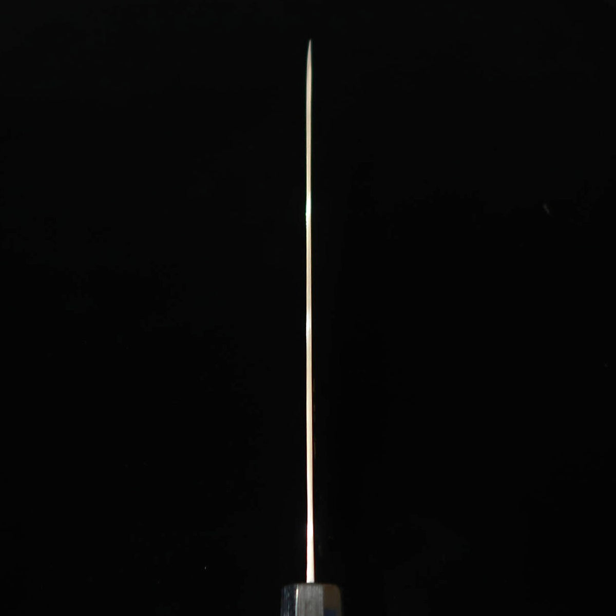 Saji Takeshi SAJI TAKESHI Aogami #2 Damasco coloreado Sujihiki, mango octogonal de palisandro (240/270 mm)