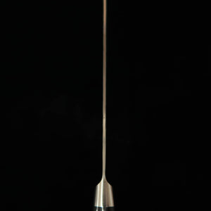 Ishiduchi ISHIDUCHI Kiritsuke Gyuto Aogami Super Tsuchime Mango de laminado negro (210 mm)