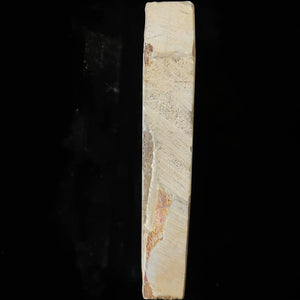 天然砥石　馬路山 合砥 巣板 60型 希少　72×164×31mm
