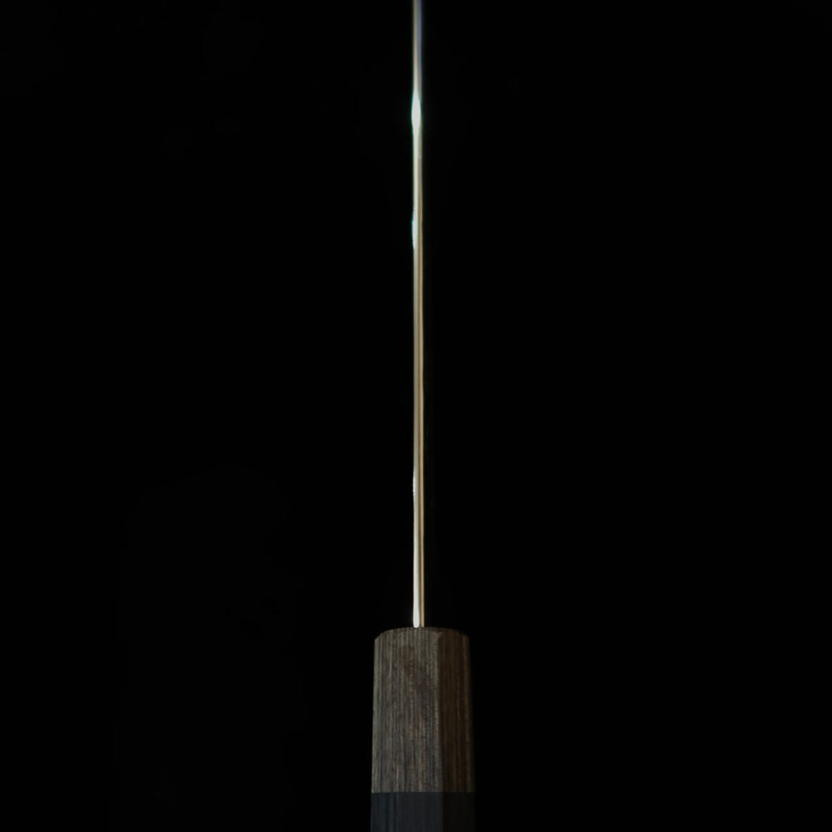 HADO Hadō Shiosai – kiritsuke gyuto SG2, martelé, manche en bois laminé noir (210 mm)