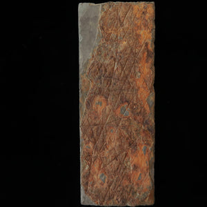 天然砥石　大突　30型　裏カラス　74×204×30mm
