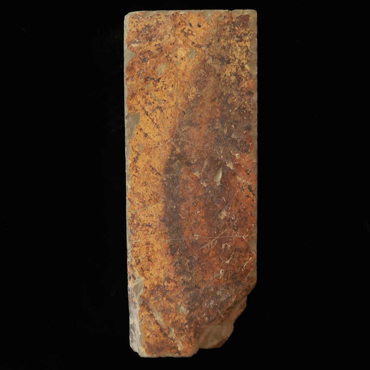 Pierre à aiguiser naturelle Ōhira, type 40, sélection spéciale, 77×204×40 mm