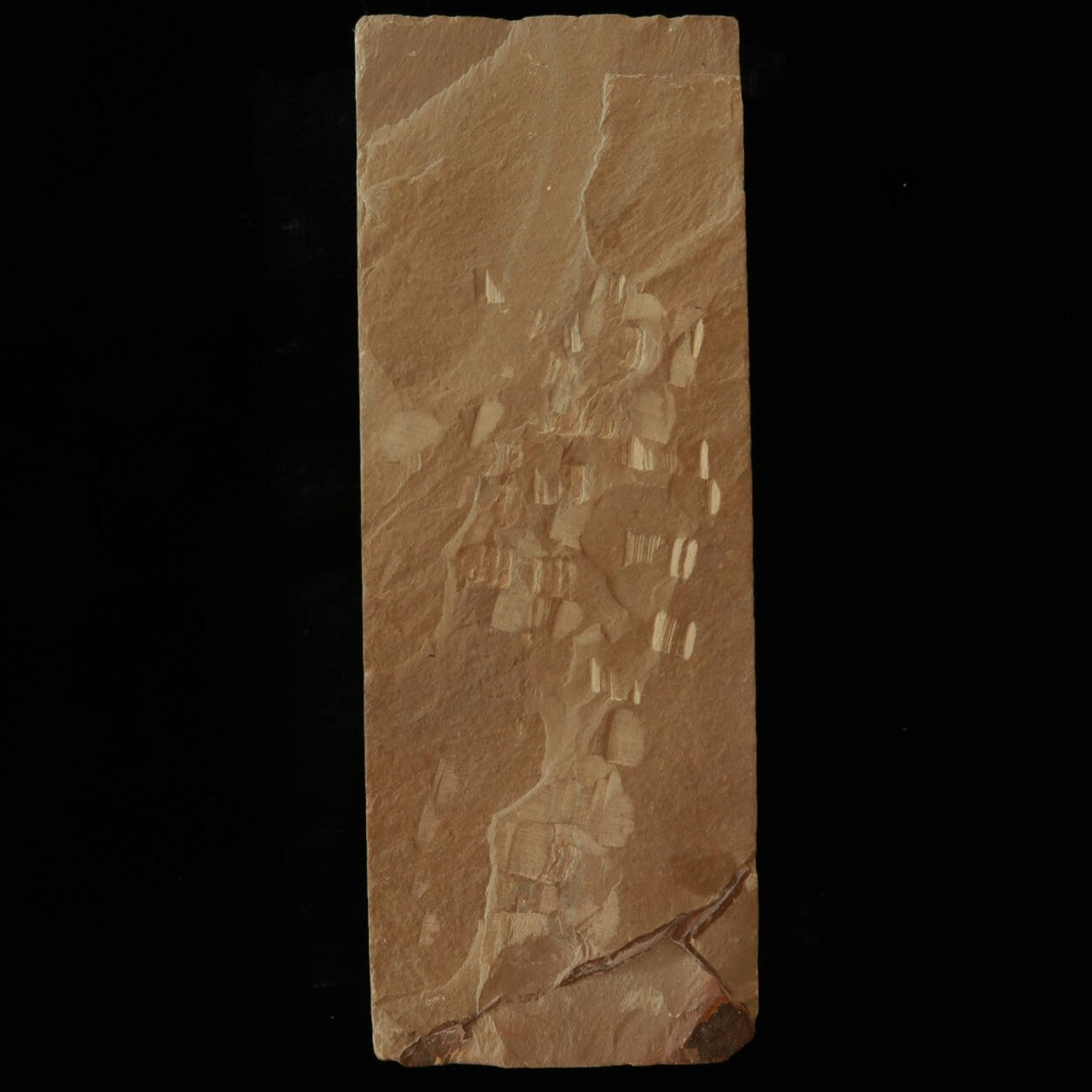Pierre à aiguiser naturelle - Ohira Kozan - Modèle 30 - Ipponsen - Qualité tendre (76 x 208 x 36 mm)