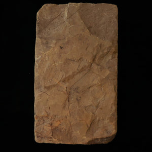 天然砥石　大平　レザー型　76×135×32mm