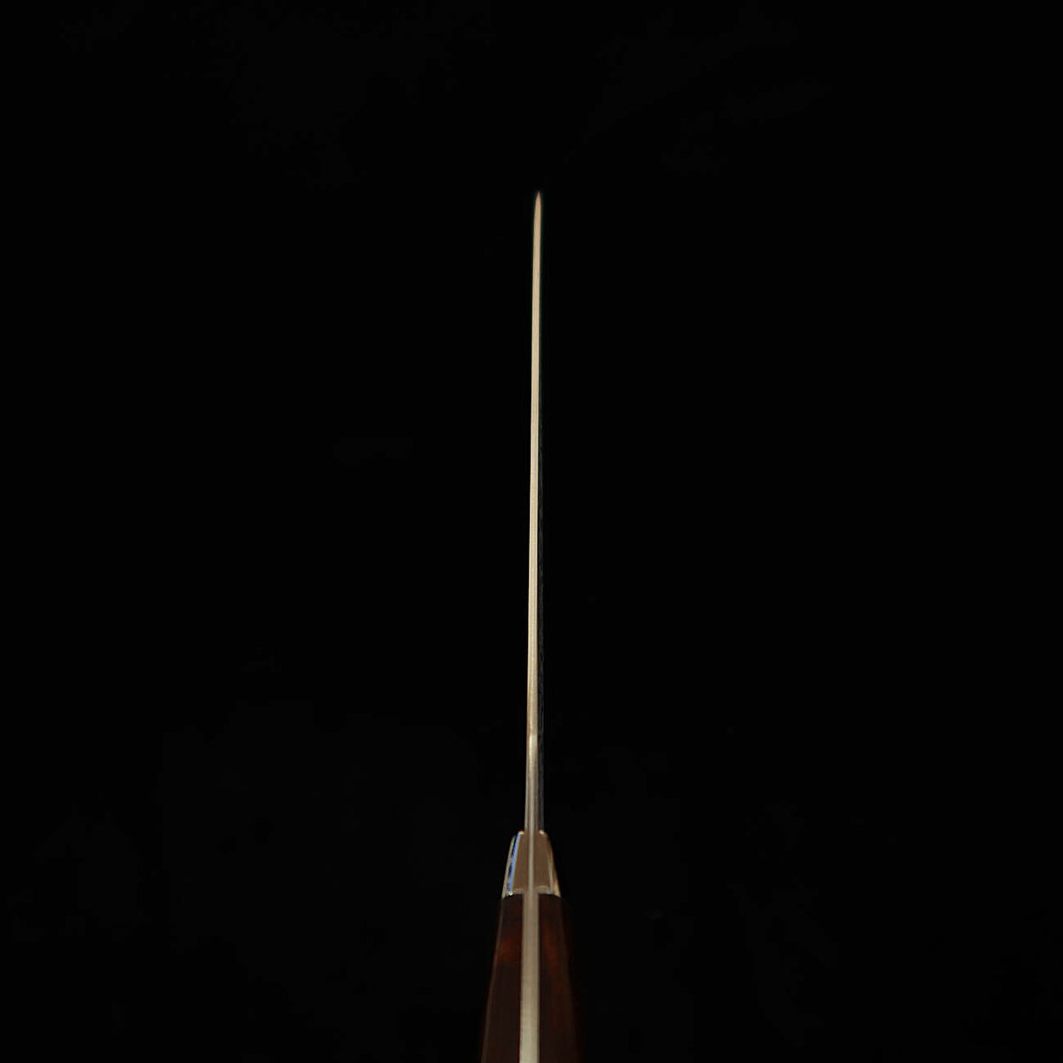Saji Takeshi SAJI TAKESHI Sujihiki R2, damasco ennegrecido, mango de ironwood (240/270 mm)
