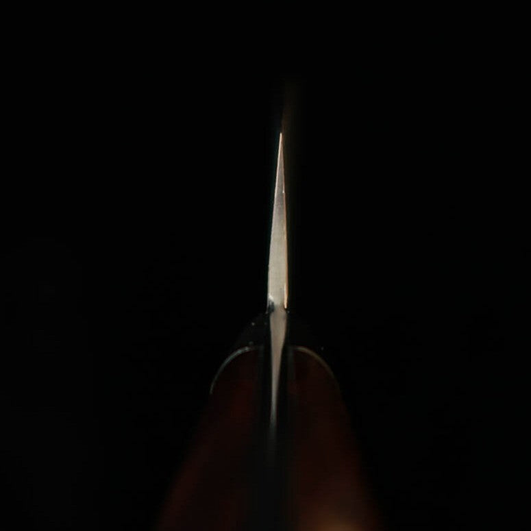 Saji Takeshi SAJI TAKESHI Sujihiki R2, damasco ennegrecido, mango de ironwood (240/270 mm)