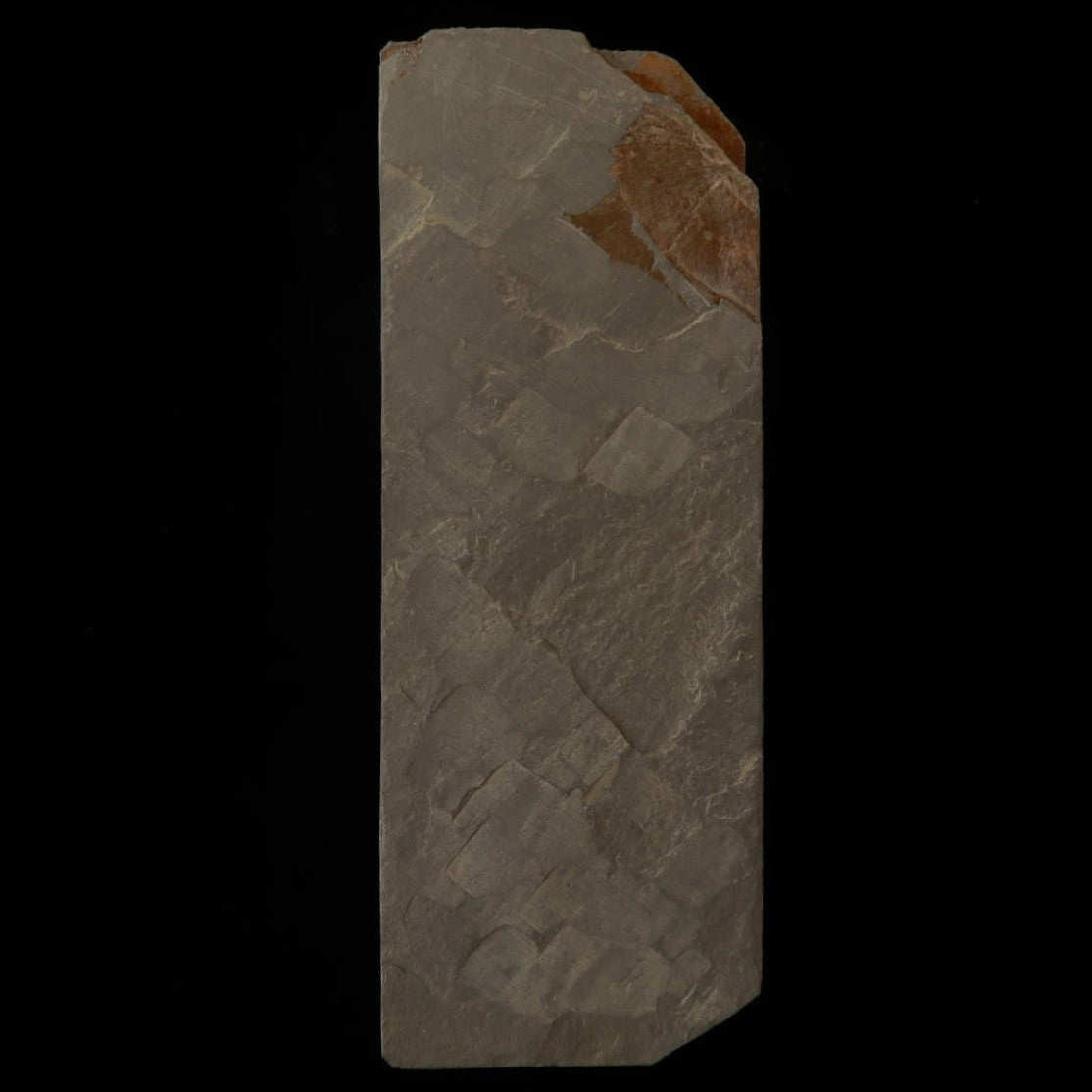 Pierre à aiguiser naturelle - Yaginoshima Awasedo - Asagi - Modèle 30 (71 x 208 x 33 mm)