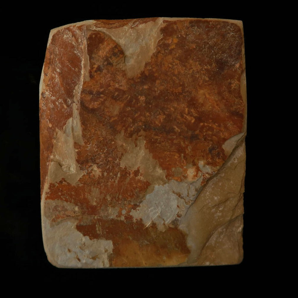 Piedra de afilar natural, Nakayama Aoto, koppa, 69 × 85 × 23 mm