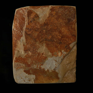 Piedra de afilar natural, Nakayama Aoto, koppa, 69 × 85 × 23 mm