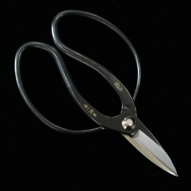 MIURA Okubo scissors Yasunori brand Aogami No.1 Black box (180mm)