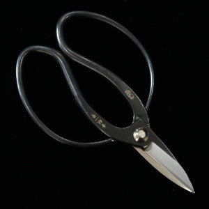 MIURA Okubo scissors Yasunori brand Aogami No.1 Black box (180mm)