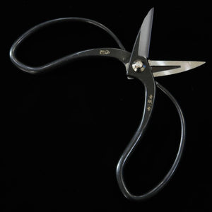 MIURA Okubo scissors Yasunori brand Aogami No.1 Black box (180mm)