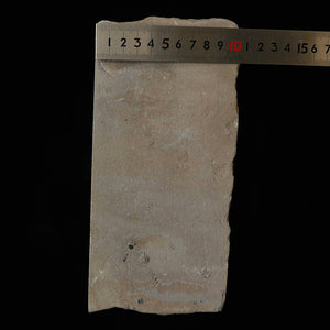 Chame-Suke Natural Whetstone, Type 8 Large Size (71x235x106mm)