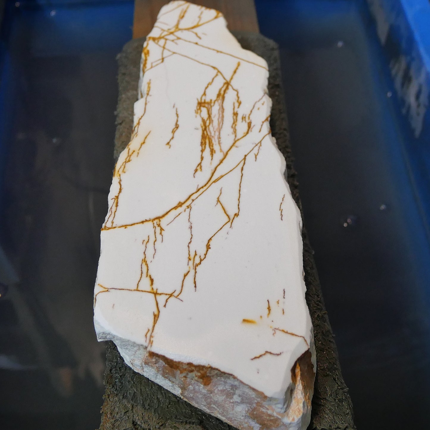 Mio Tsukushi Hime Piedra de afilar natural Iyo Meito NM21 Koume 82×264×28mm
