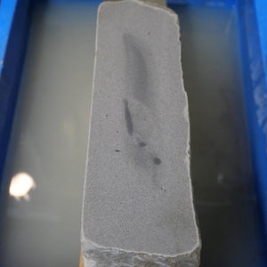 Chame-Suke Natural Whetstone, Type 8 Large Size (71x235x106mm)
