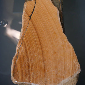 « Miotsukushihime » pierre naturelle, Iyo Meito T50, veinage rouge, 112×207×20 mm