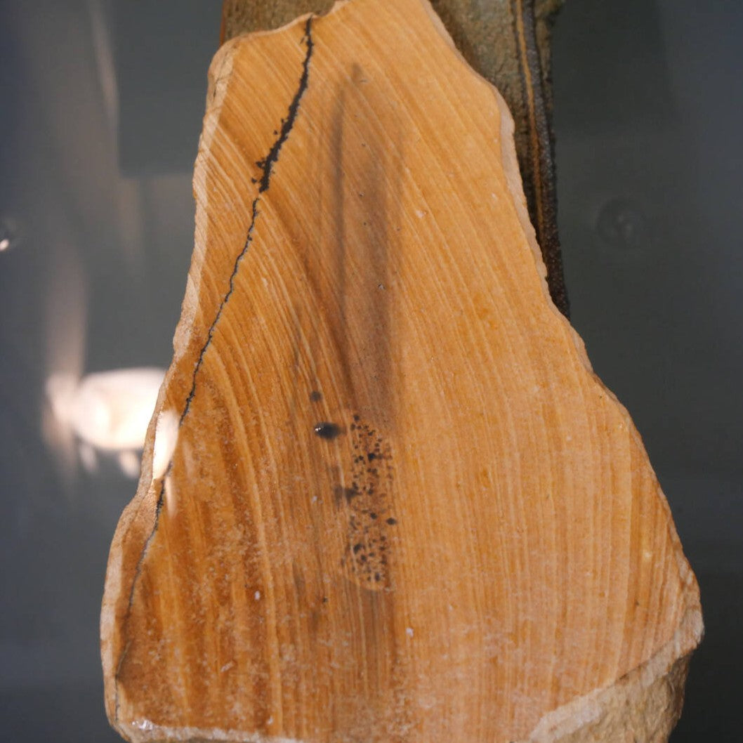 « Miotsukushihime » pierre naturelle, Iyo Meito T50, veinage rouge, 112×207×20 mm