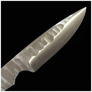PROMETHEUS Prometheus “Thor” HS - tipo D