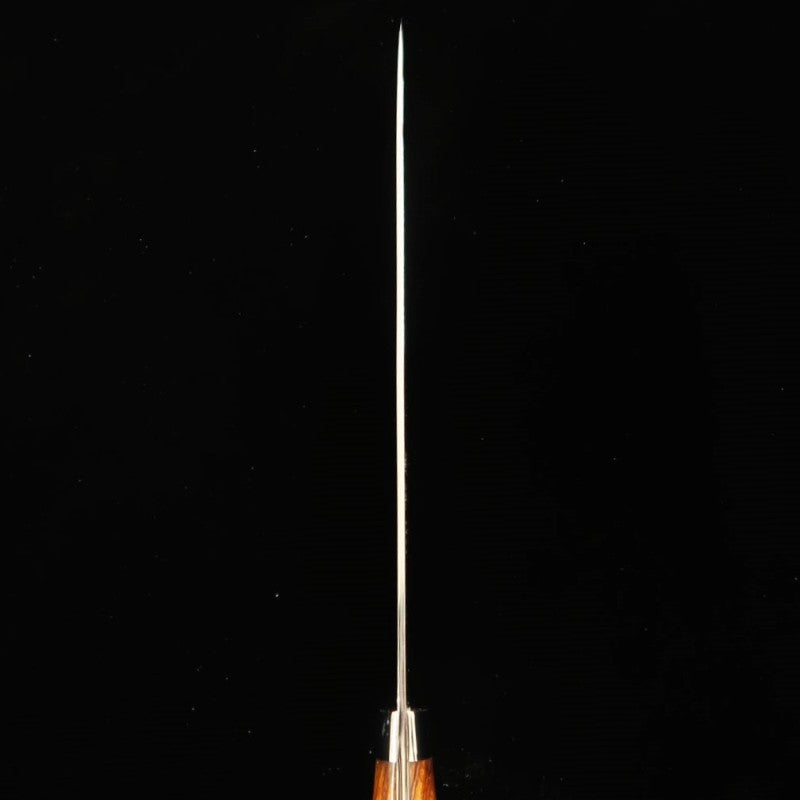 SAJI TAKESHI Gyuto R2 Diamond Finish Ironwood (180-240mm)