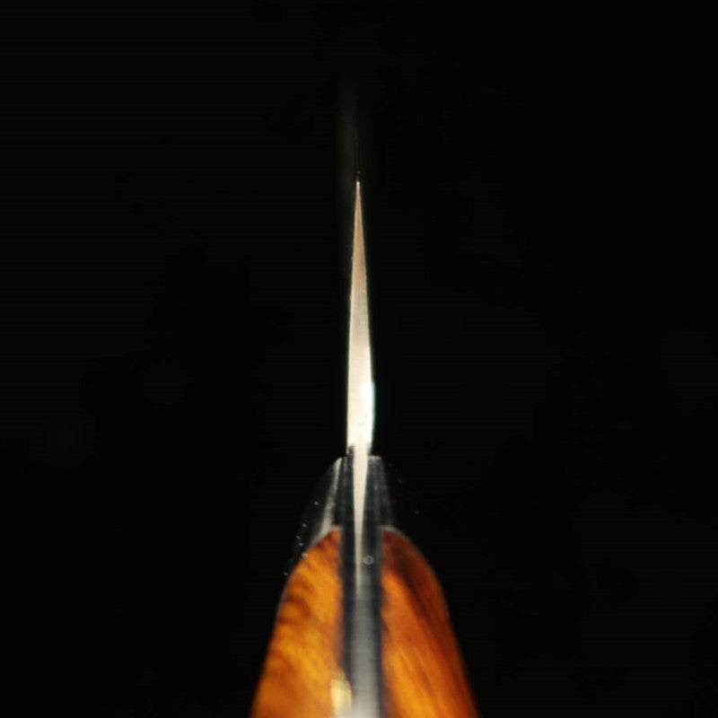 SAJI TAKESHI Gyuto R2 Diamond Finish Ironwood (180-240mm)