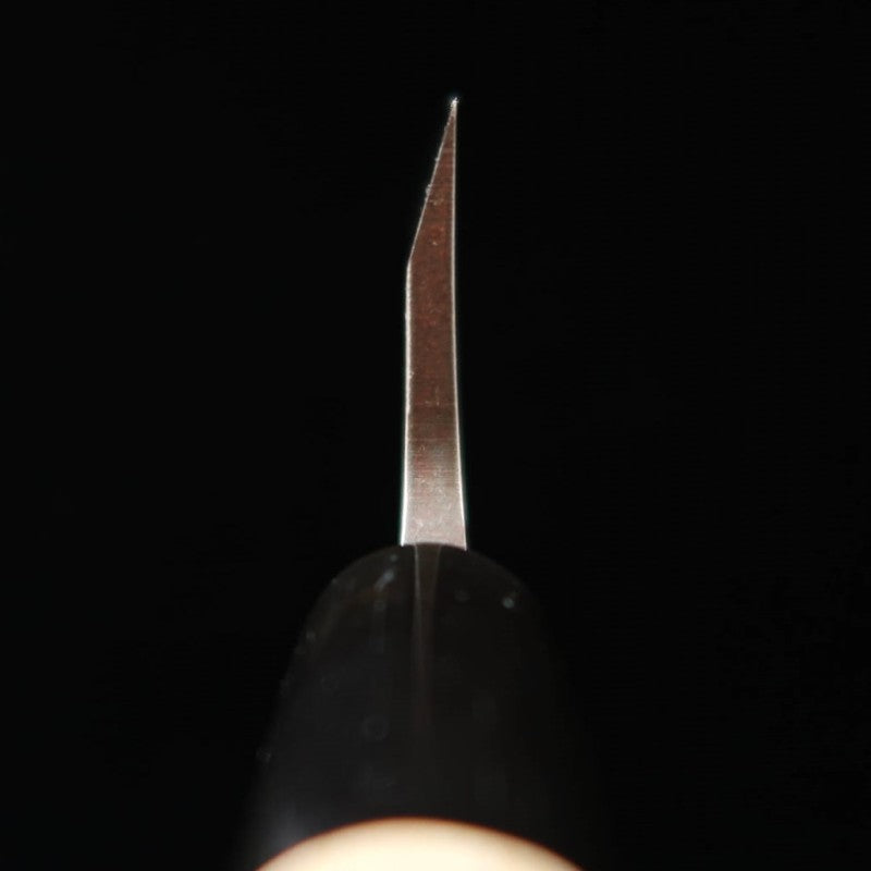 Deba MIURA aço molibdênio cabo de Magnólia (150-180mm)