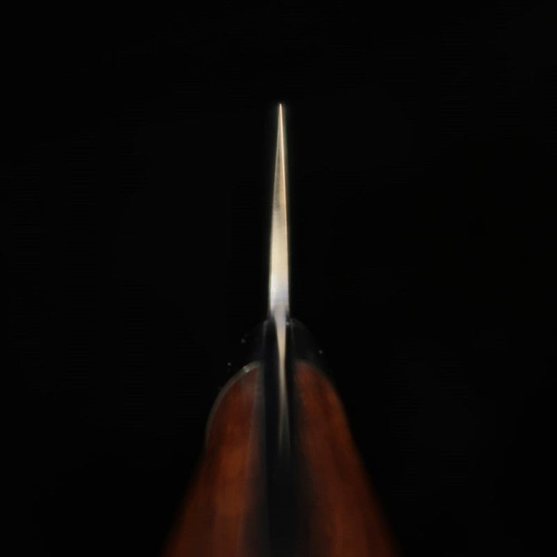 SAJI TAKESHI Gyuto R2 Damas noirci Bois de fer (180-240 mm)