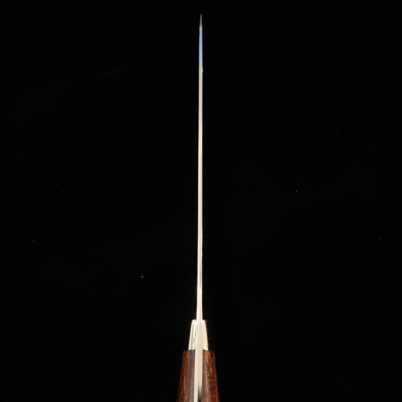 SAJI TAKESHI Gyuto R2 Damas noirci Bois de fer (180-240 mm)