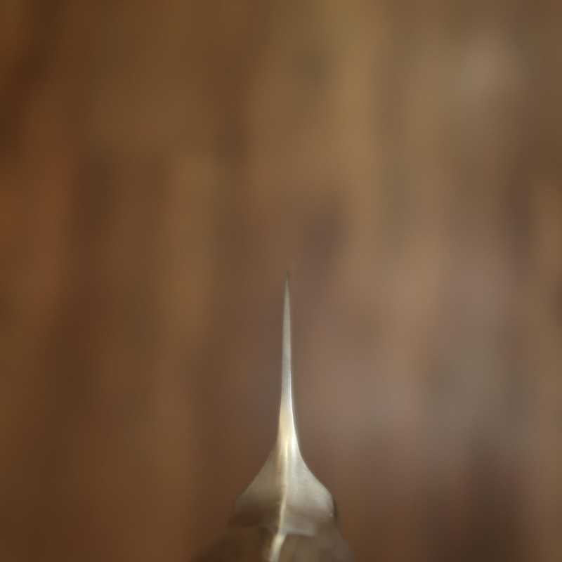 Gyuto GLESTAIN - 819TM (190 mm)