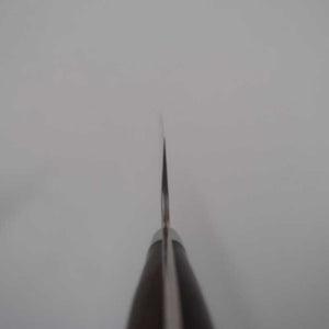 Takeshi Saji SAJI TAKESHI Aogami Nº2 Damasco Colorido Gyuto Cabo em Ironwood (180-240mm)