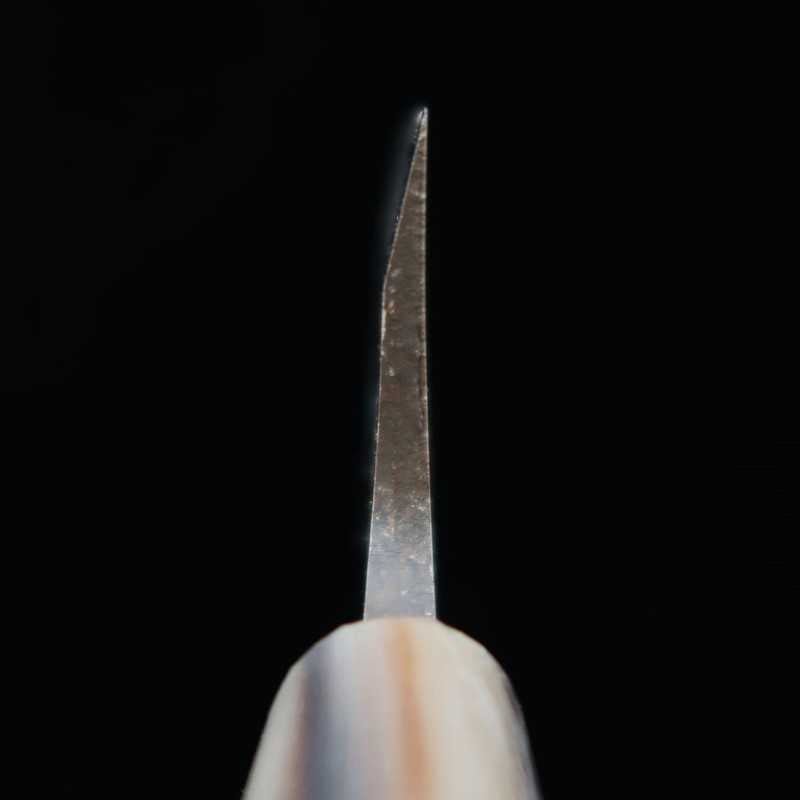 SUISIN Deba, acier Yasugi, manche en magnolia forme châtaigne (150–210 mm)