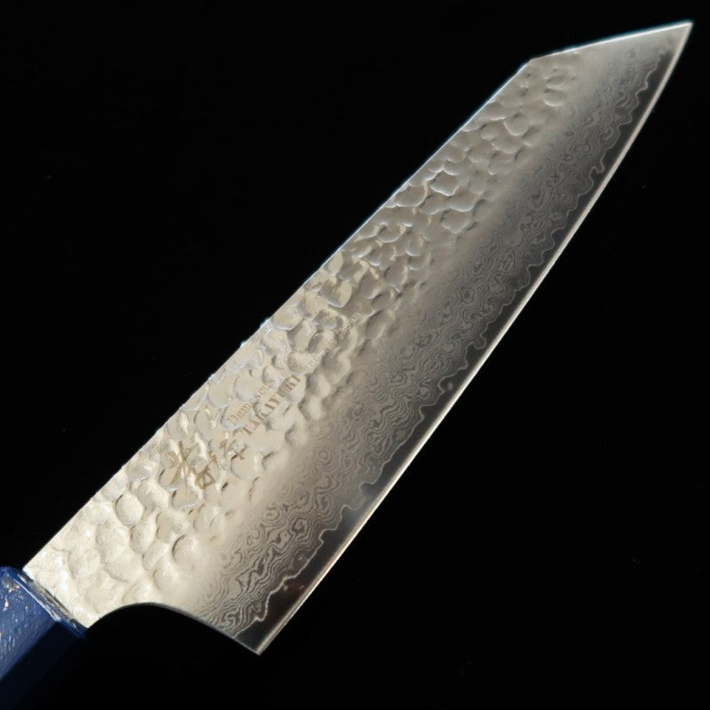 Sakai Takayuki 堺孝行 – Sai-seki (piedra de colores) – Gyuto tipo ken VG10, damasco de 33 capas, mango de roble lacado (190 mm)