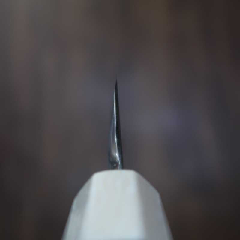 Kiritsuke SUISIN by Kenji Togashi Hakutan-ryu Shirogami No. 1 Lacquered sheath Ebony handle (270mm)