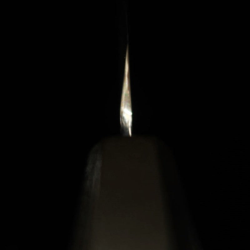 KAGEKIYO VG10 acabado espejo, mango Hirame, sakimaru takohiki (300 mm)