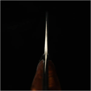 Saji Takeshi SAJI TAKESHI Santoku R2 Damasco Ironwood (180 mm)