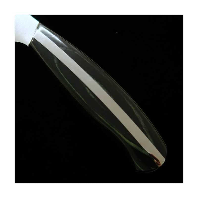 Nagomi Professional Acier inox japonais spécial Sujihiki (240/270 mm)