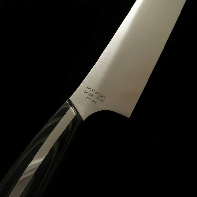 Nagomi Professional Acier inox japonais spécial Sujihiki (240/270 mm)