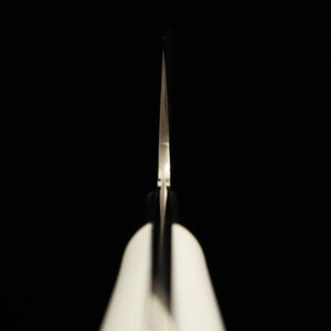 Gyuto Takeshi Saji R2 com acabamento em diamante Corian (210mm)